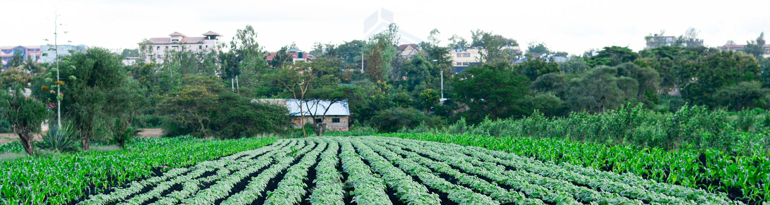 MATUU | MACHAKOS COUNTY | KSH. 350,000